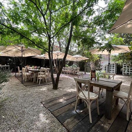 Posada Colibri - Hotel & Spa 샌후안토드와캔 외부 사진