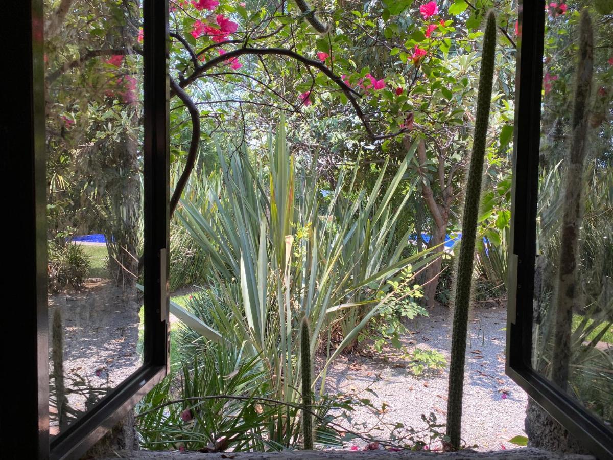 Posada Colibri - Hotel & Spa 샌후안토드와캔 외부 사진